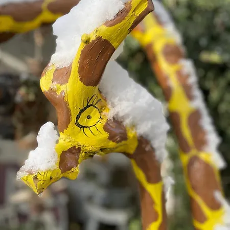 Apartment Brandmaier *