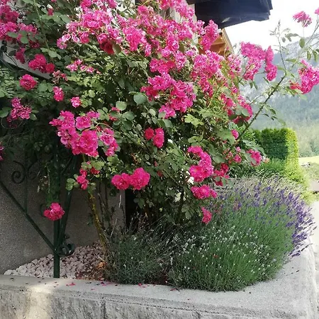 Brandmaier Apartment Unken